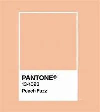 Peach Fuzz (Pantone 13-1023