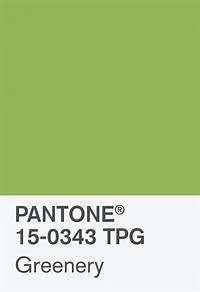 Greenery (Pantone 15-0343)